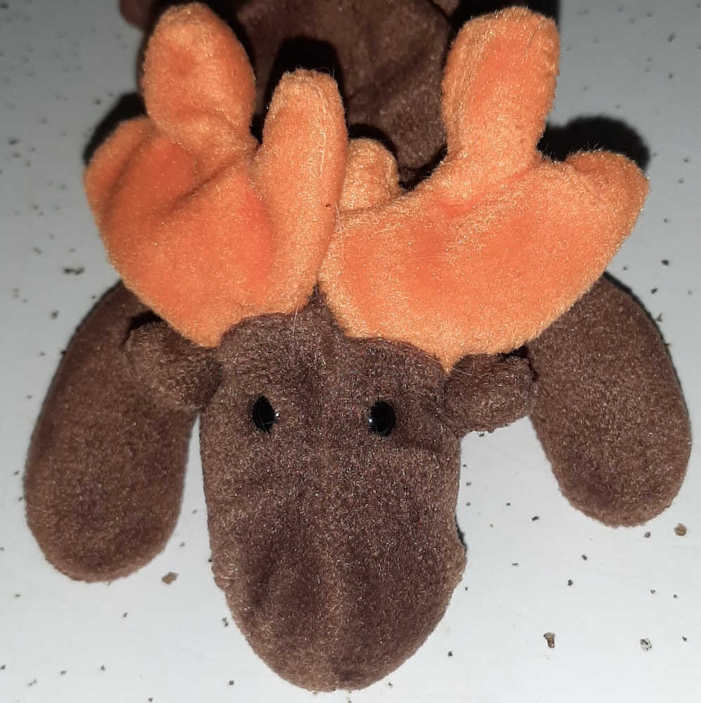 1993 TY CHOCOLATE The Moose Retired Beanie Baby No Hang Tag